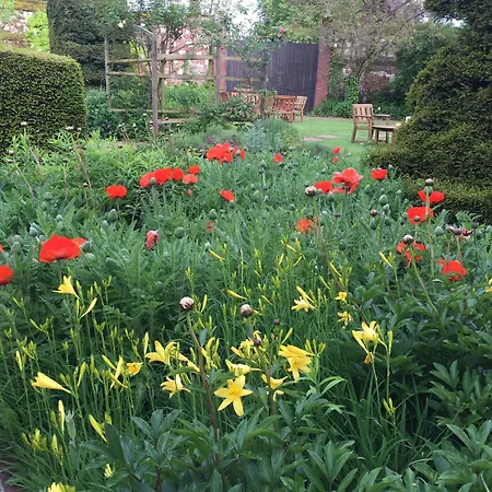 Chateau De Montreuil