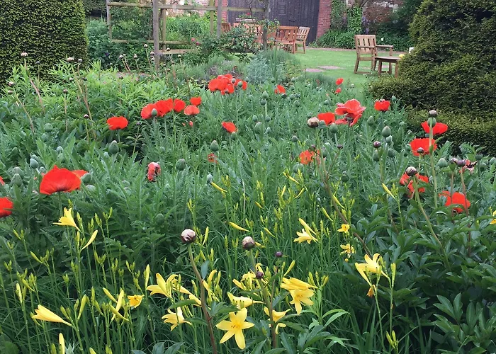 Chateau De Montreuil